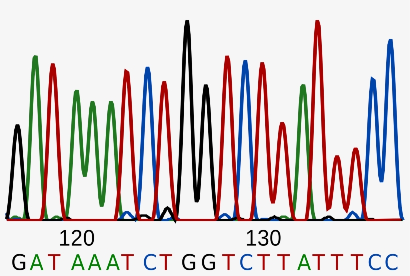 Dna Clipart Pink - Dna Sequence, transparent png #4083016