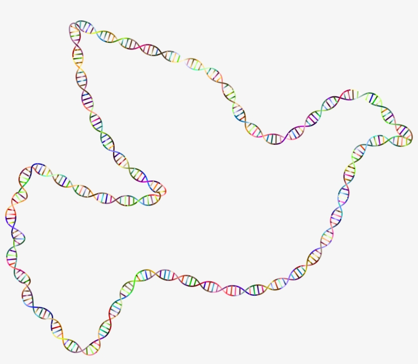 This Free Icons Png Design Of Chromatic Dna Helix Peace, transparent png #4083220