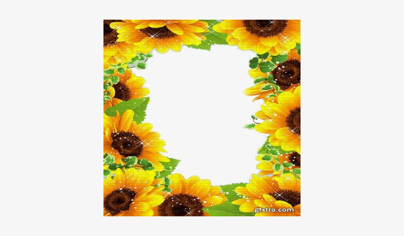 Cadre Tournesol Sunflower Frame - Tournesol / Sunflower, transparent png #4084682