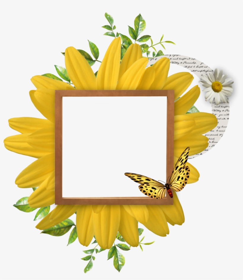 Ch - B *✿* - Клипарт Подсолнух На Прозрачном Фоне, transparent png #4084740