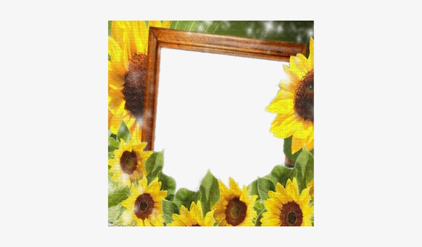 Sunflower Autumn Frame Cadre Tournesol - Picmix, transparent png #4084746