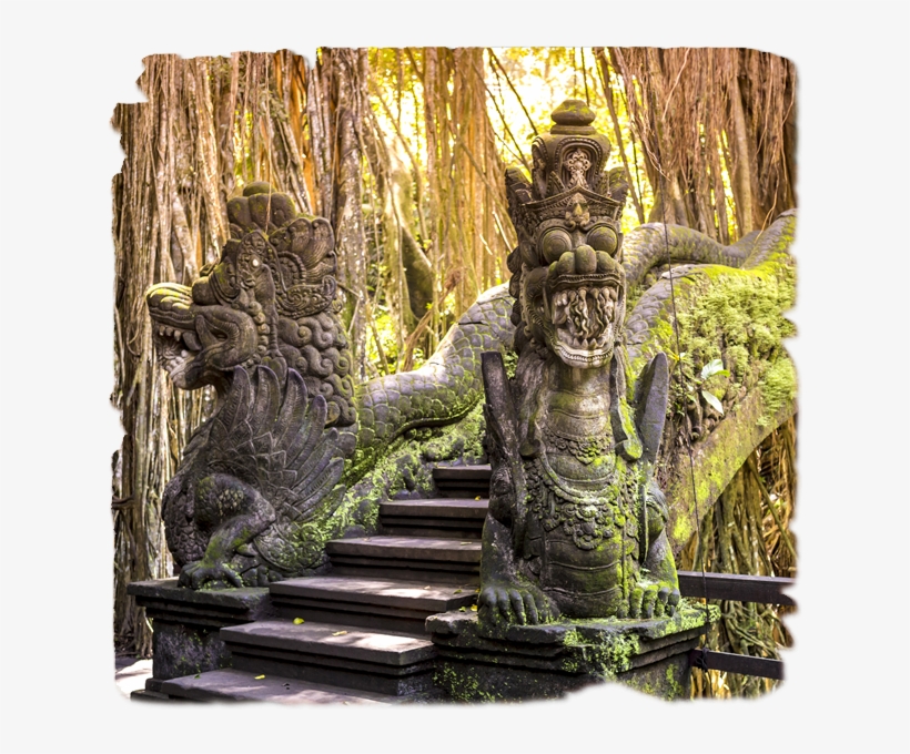 China, Indonesia Y Singapur - Ubud Monkey Forest, transparent png #4084804
