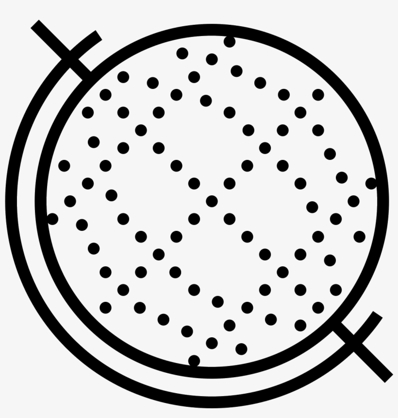 Globo Terráqueo Icon - Fan, transparent png #4084805