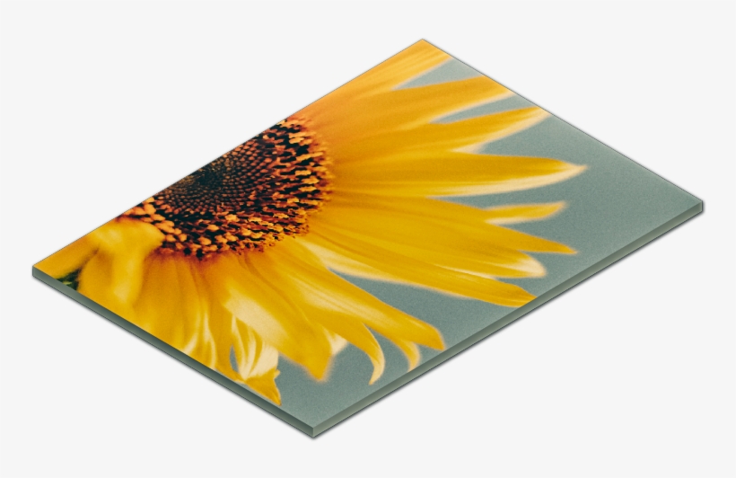 Frame Depth Choices - Canvashq, transparent png #4084864