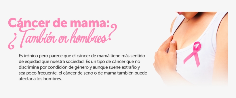 Resultado De Imagen De Cancer De Mama - Guide To Check For Breast Cancer, transparent png #4085517