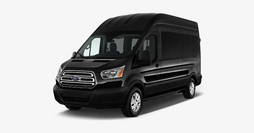 dodge luxury van