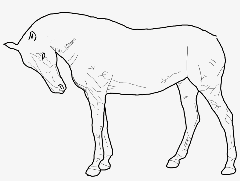 Standing Horse Outline Drawing 155741 - Horse, transparent png #4087642