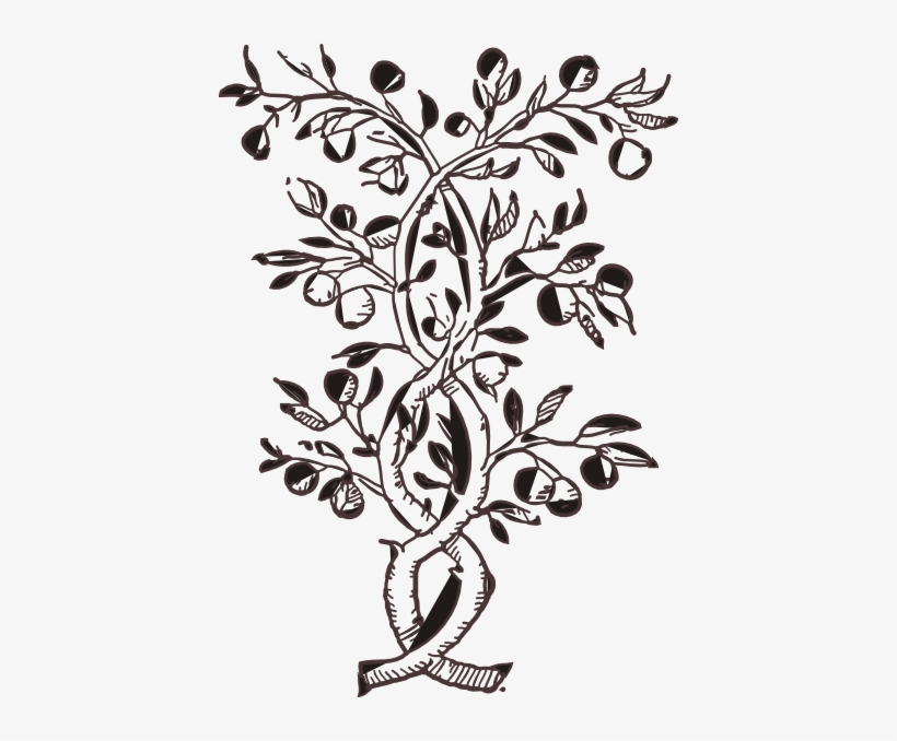 How To Set Use Flower Fruit Icon Png - Delfim Santos - Ineditos Pedagogicos (1932-1966) By, transparent png #4087837