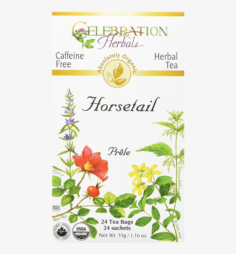 Horsetail Tea - Celebration Herbals Alfalfa Peppermint Tea 24 Tea Bags, transparent png #4088067