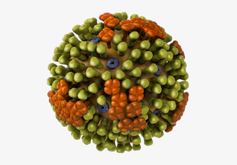 Flu[1] - Influenza B Virus, transparent png #4088153