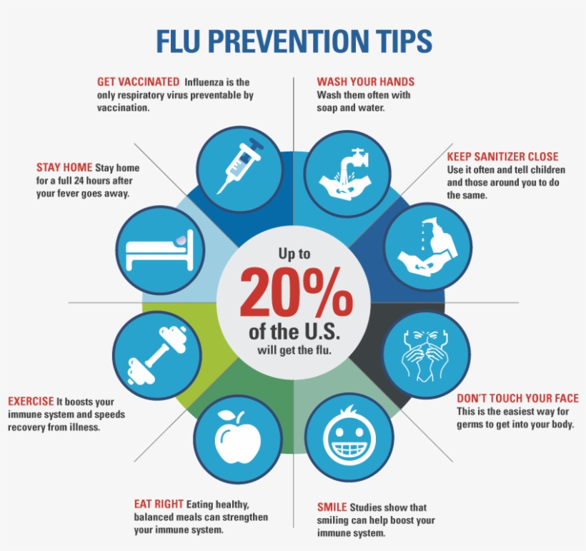 Flu Prevention Tips Infographic - Flu Prevention Tips, transparent png #4088173