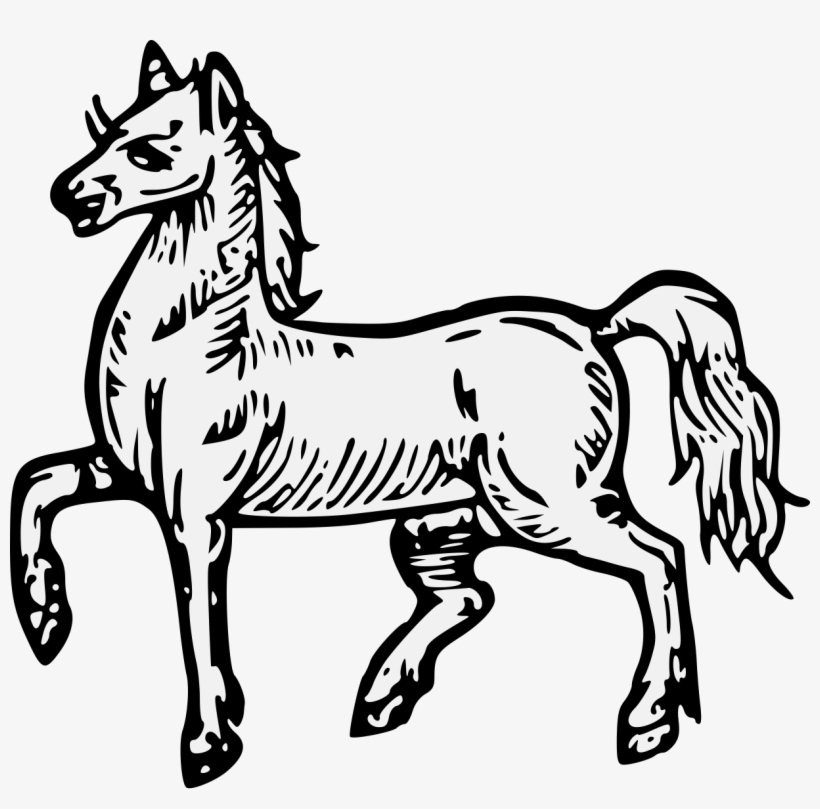 Details, Png - Mane, transparent png #4088536
