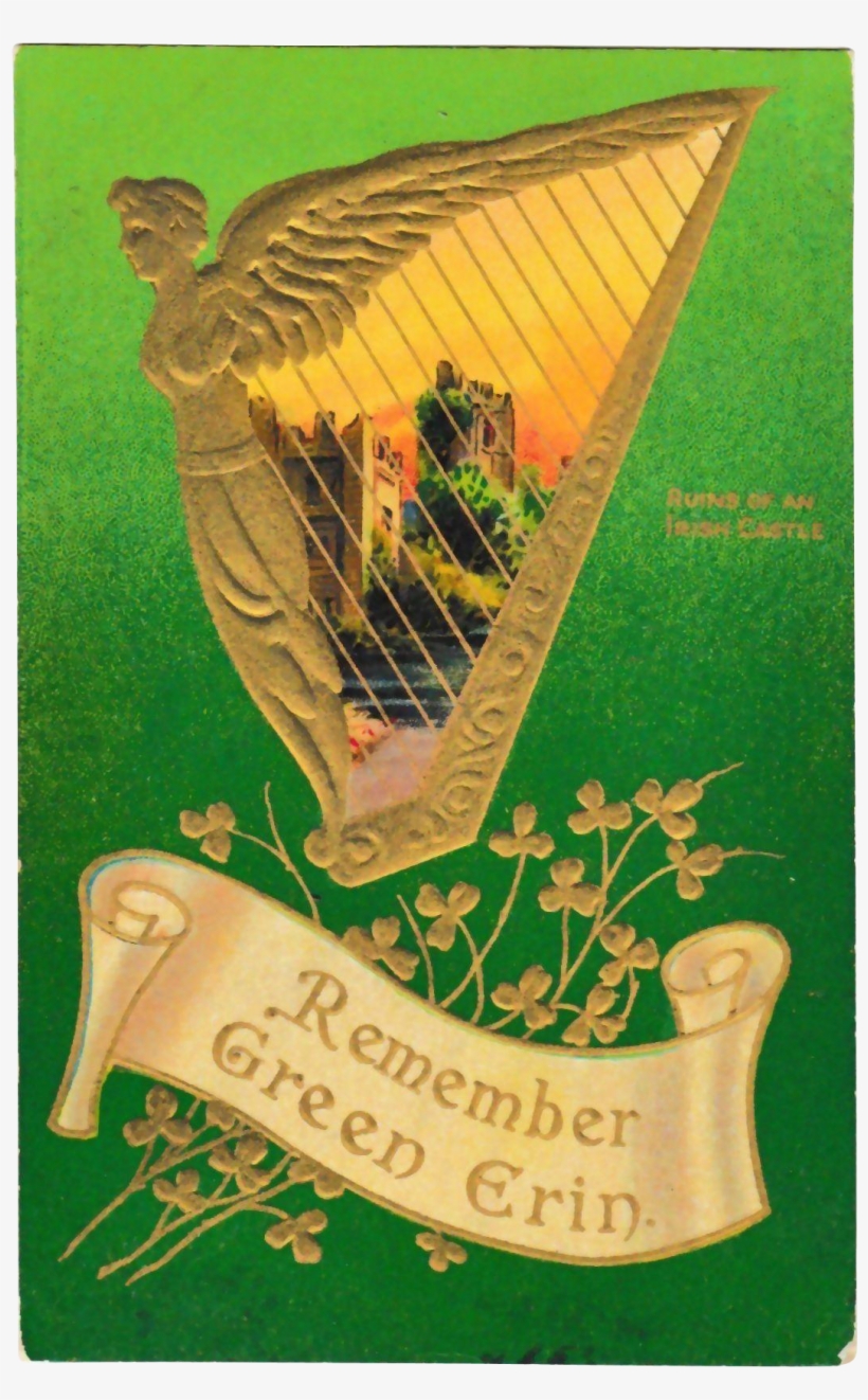 #vintage #irish #stpatricksday At Www - Parrot, transparent png #4088672