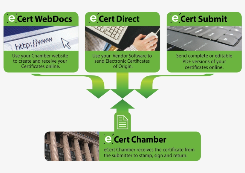 Ecertify Means Fewer Manual Processes, Fewer Errors - Export, transparent png #4089155