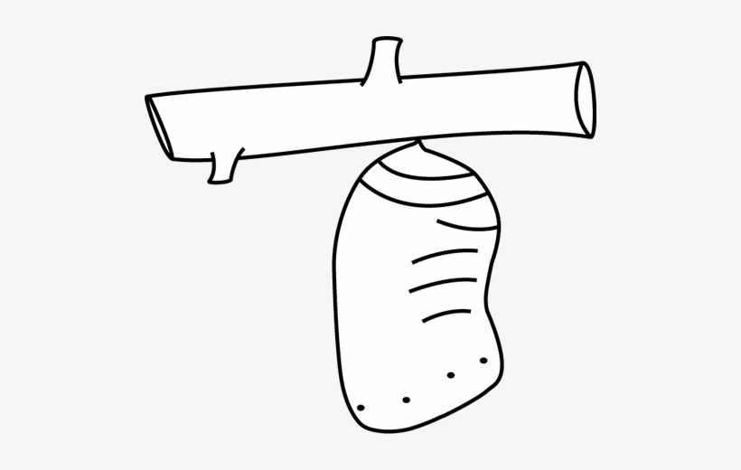 Black And White Butterfly Chrysalis Black And White Cocoon