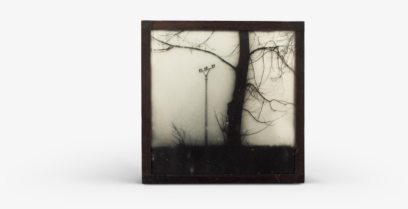 Picture Frame, transparent png #4089595