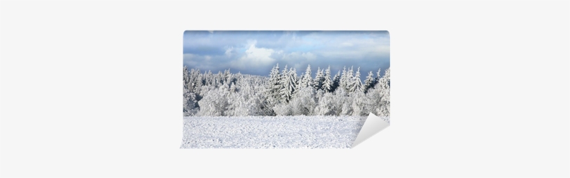 Wall Mural • Pixers® • We Live To Change - Winter, transparent png #4089599