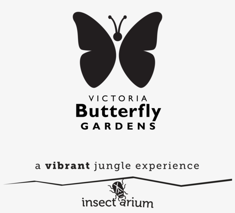 Vbg X Insectarium Logo Horizontal Bw - Victoria Butterfly Gardens, transparent png #4089693