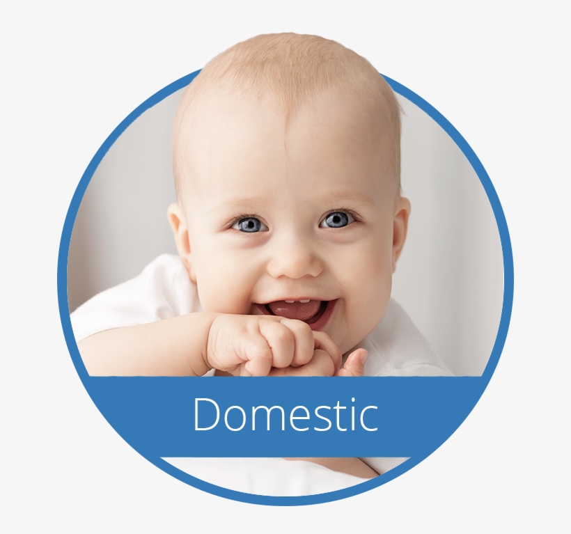 Domestic Adoptions - Love Baby Co 2 X Top Quality Fitted Crib Sheets Fit, transparent png #4089860