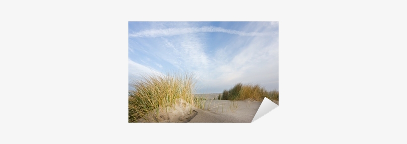 Grass, transparent png #4090603