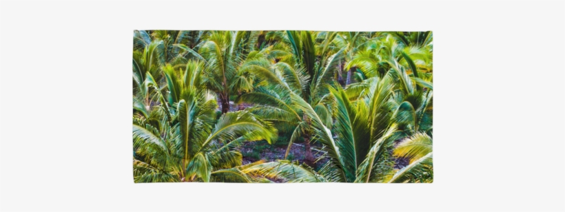 Coco Farm Printed Beach Towel, transparent png #4090991
