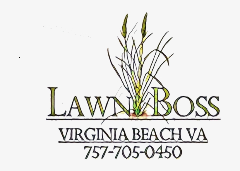 Grass, transparent png #4091358