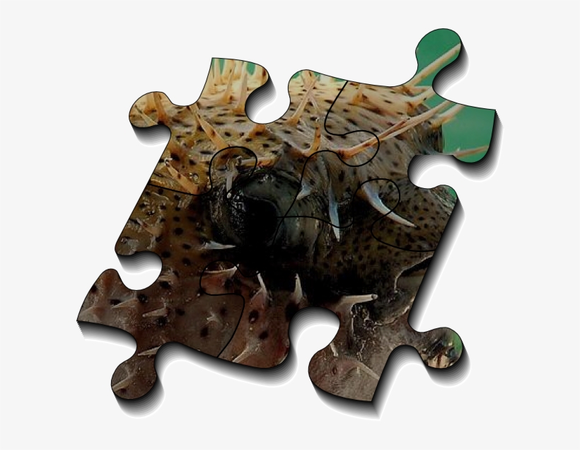 Any Network System With Buffering Shared Among Many - Router, transparent png #4091627