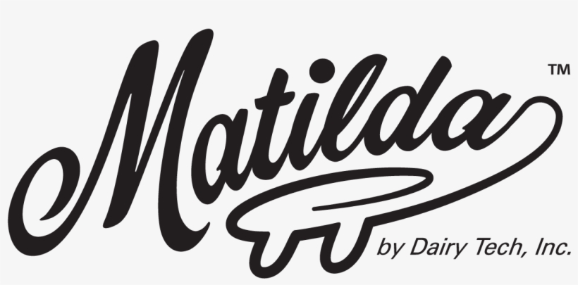 She's Finally Here - Calligraphy, transparent png #4092001