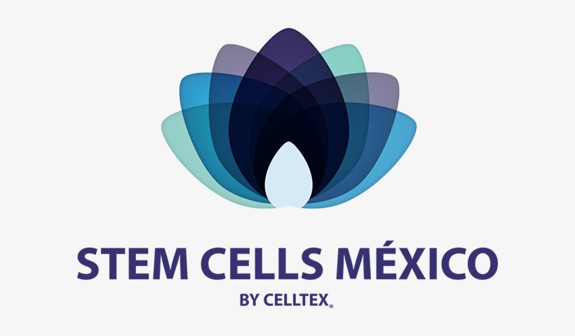 Próximamente - Tel - - Celltex Logo, transparent png #4093853