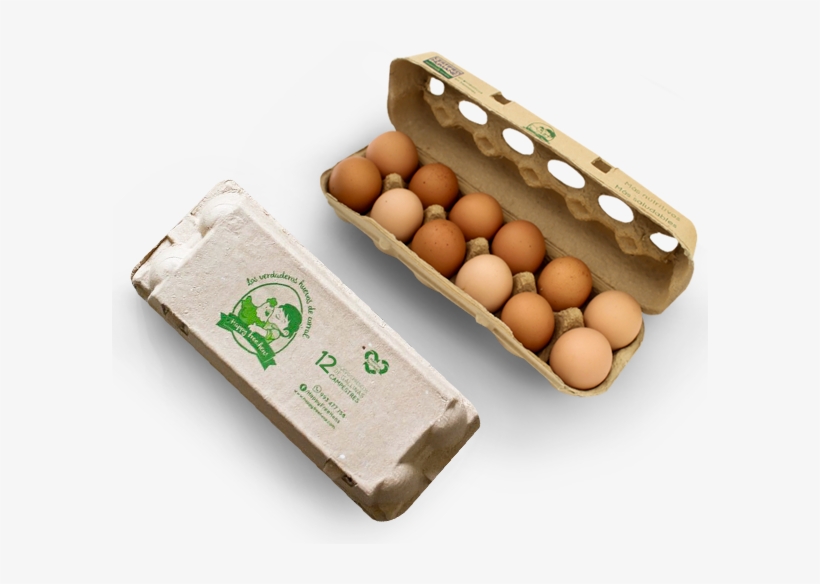 Full - Chicken, transparent png #4094226