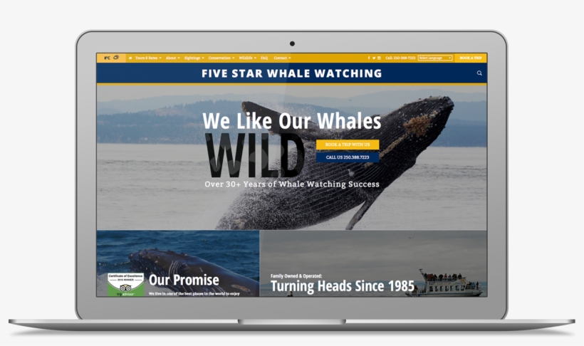 Macbook Mockup Web Victoria Design Foe Creative - Ocean, transparent png #4095035