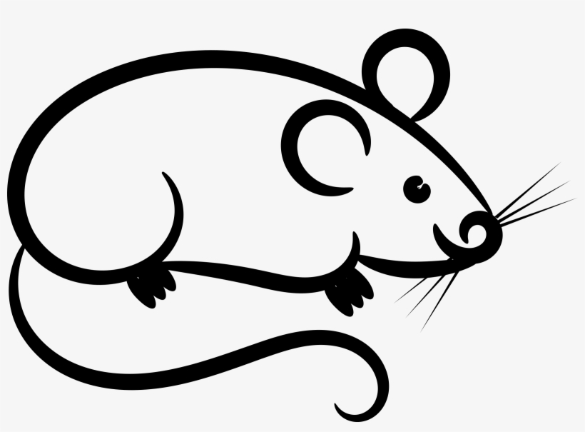 Rat Mouse Clipart White - Clip Art, transparent png #4095945