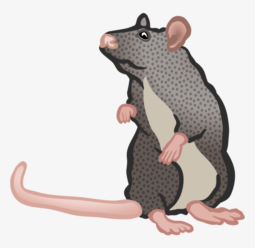 Free Download Mouse Clipart Rat Rodent Clip Art - Ratte Clipart, transparent png #4096375