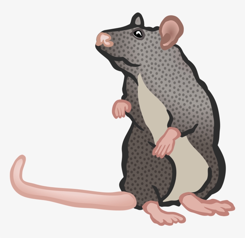 Free Download Mouse Clipart Rat Rodent Clip Art - Ratte Clipart, transparent png #4096375