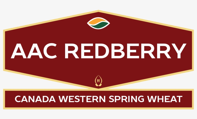 Sign, transparent png #4096454