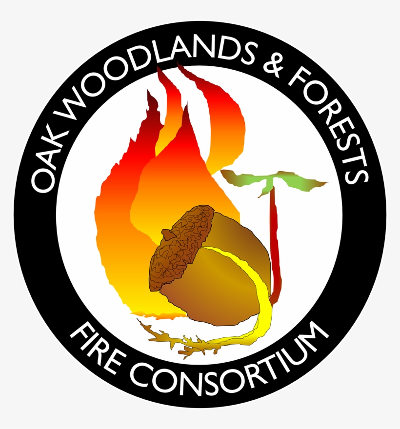 "fire Is A Process Integrally Embedded Into Life On - Harish Chandra Pg College Logo, transparent png #4096907