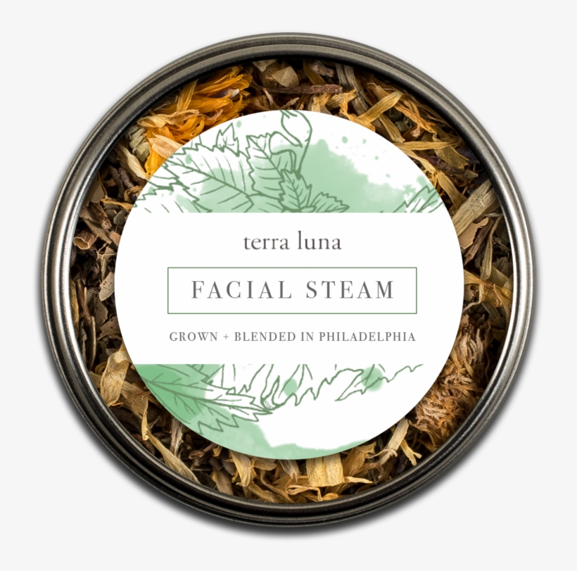Terra Facial, transparent png #4097042