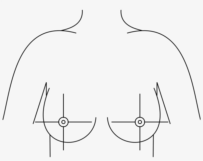 File - Breast Quadrants - Svg - Breast, transparent png #4097112
