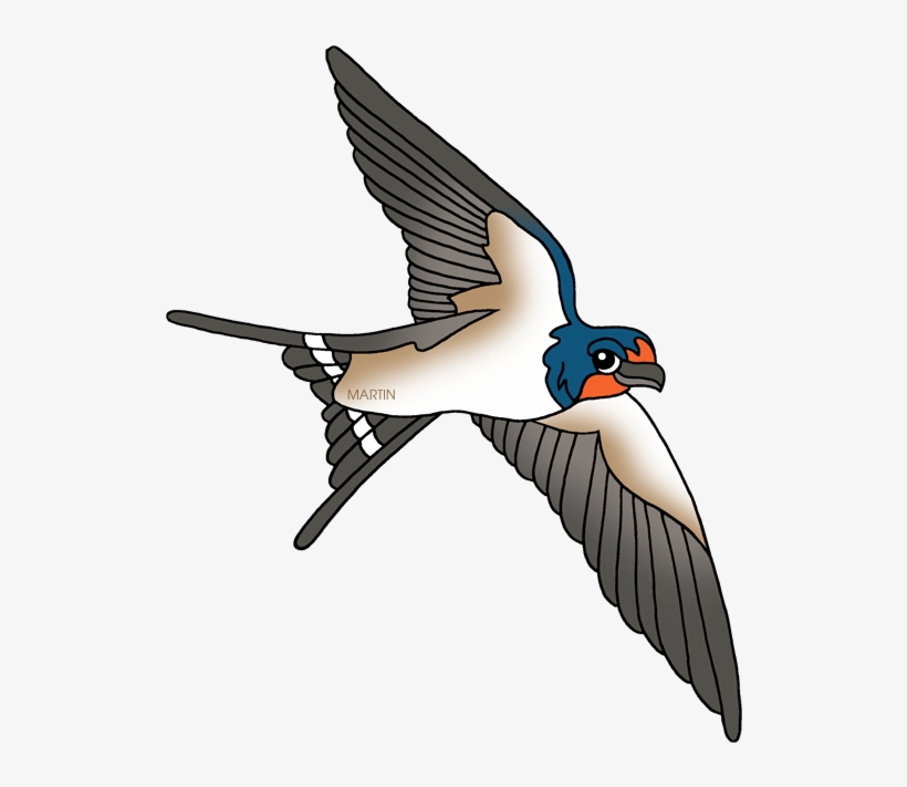 Barn Swallow Png Hd - Clipart Of A Swallow, transparent png #4097113