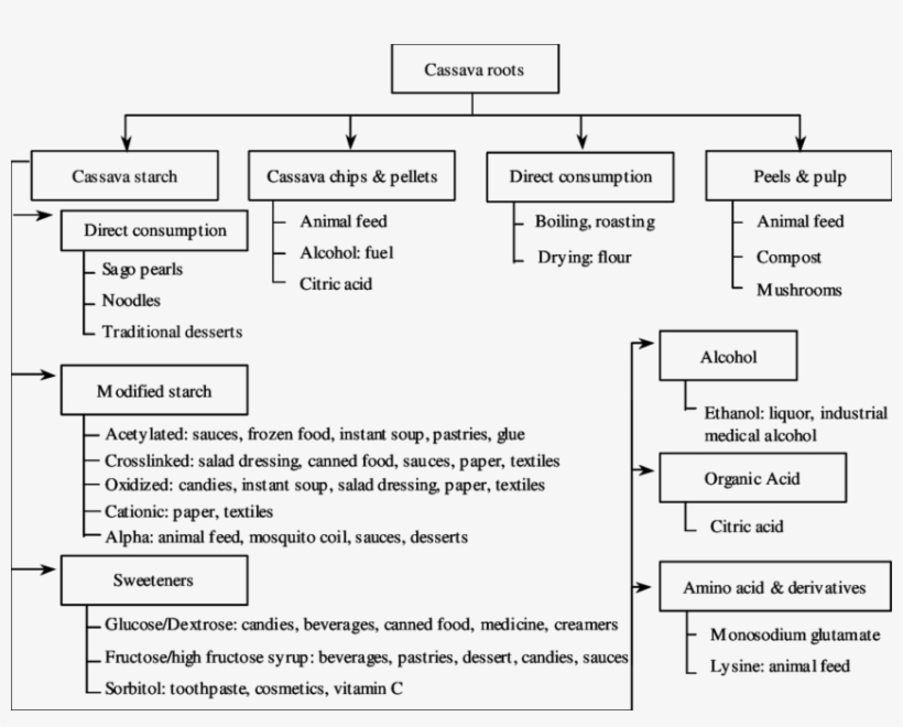 Cassava Root Processing Into Value-added Products - Product, transparent png #4097568