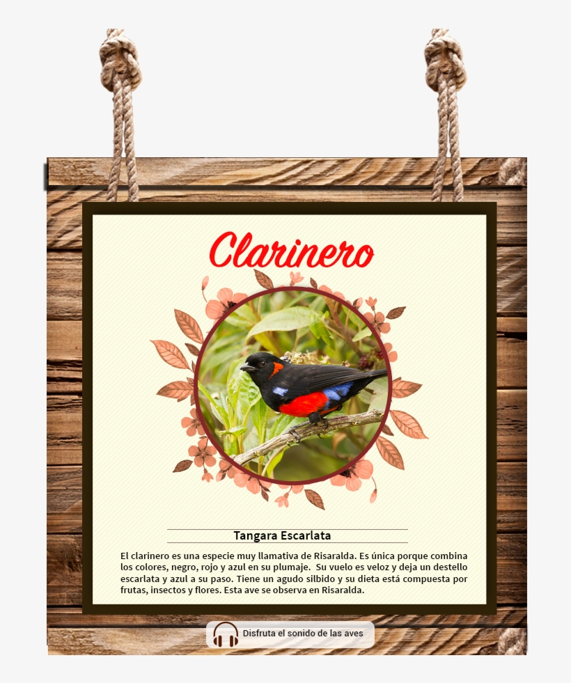 Your Browser Does Not Support The Audio Tag - Twisted Envy F Floral Letter Border Initial Mini Spa, transparent png #4097612