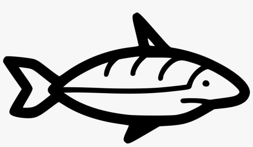 Png File - Shark, transparent png #4097843