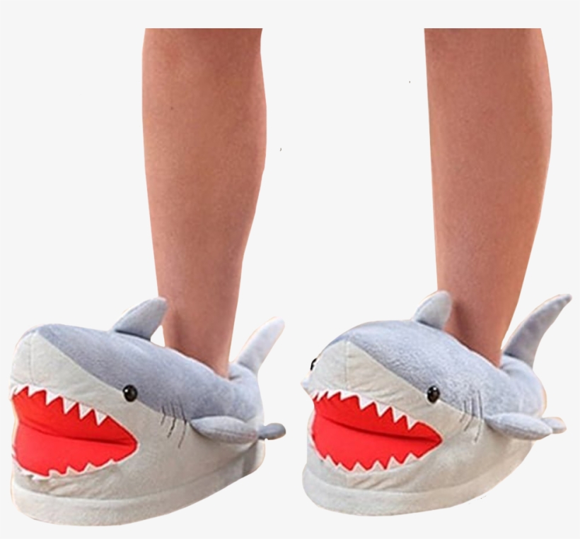 Think - Shark Plush Slippers, transparent png #4097975