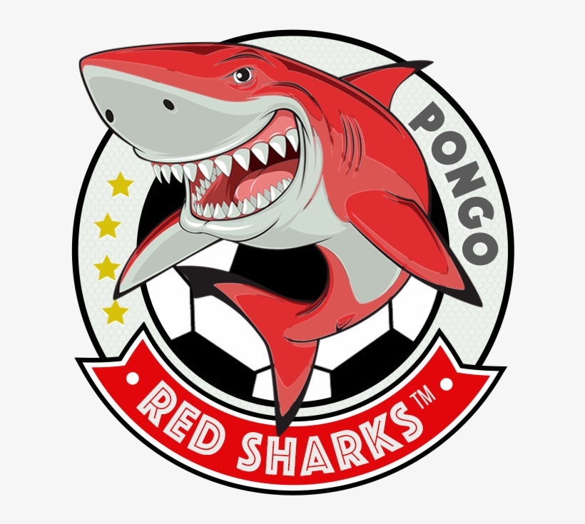 Open Goalkeeper Kit - Super Predator Fish: Sharks Coloring Book [book], transparent png #4098146