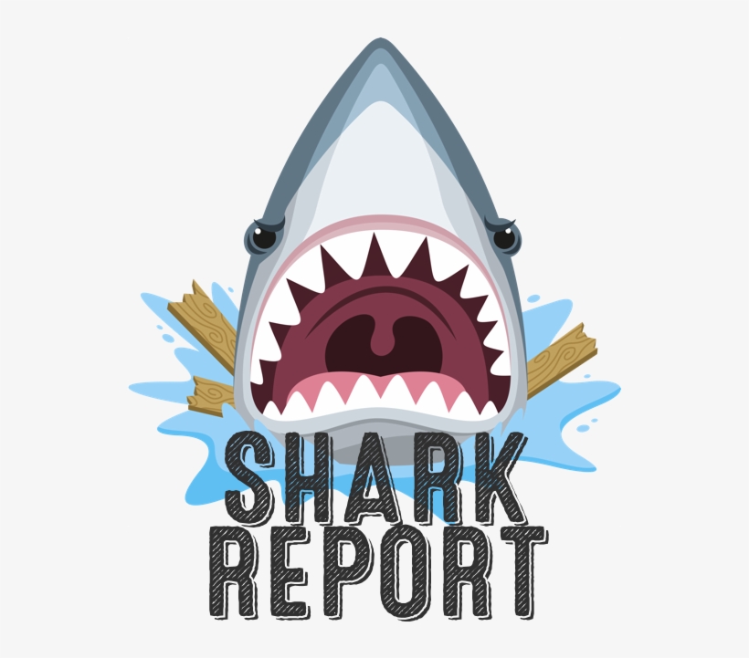 Sharkreport - Shark Mouth Open Cartoon, transparent png #4098222