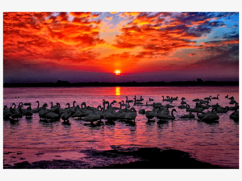 Medium Image - Sunset, transparent png #4098335