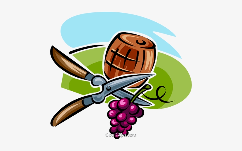 Grapes, Shears And A Wine Barrel Royalty Free Vector - Vineyard Workers Clip Art, transparent png #4098693