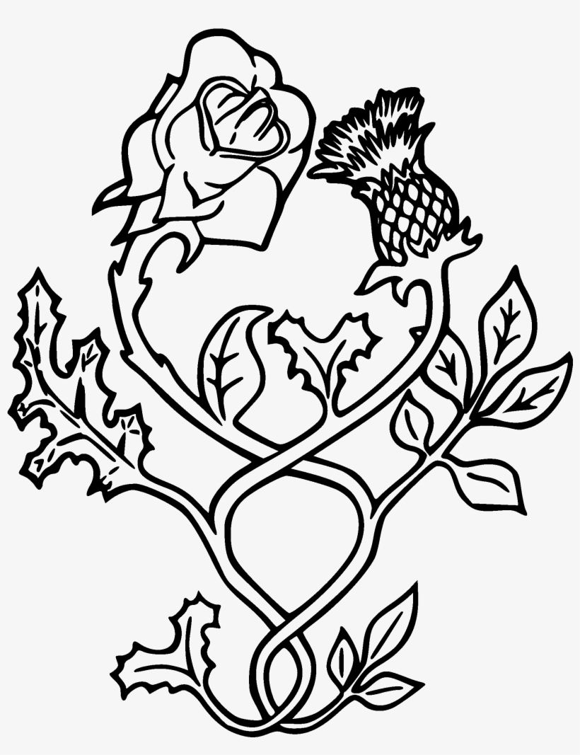 Black Outline Thistle With Rose Tattoo Stencil - English Rose And Scottish Thistle, transparent png #4099621