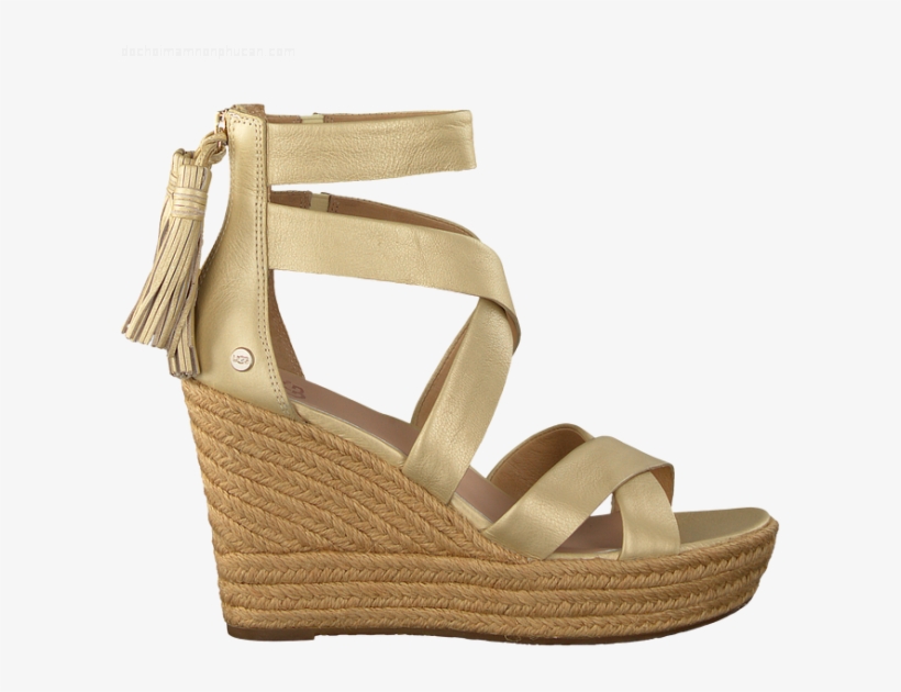 Shoe, transparent png #4099779