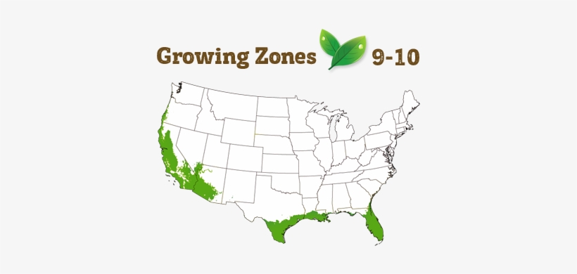 Shipping Restriction - Transparent Us Map Clear, transparent png #4099915